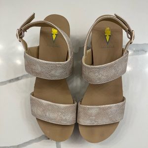 Metallic Volatile Wedges